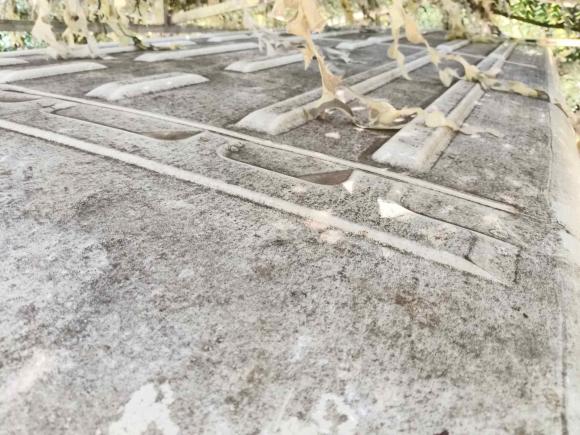 [武汉·鄂A] 二手依维柯依维柯得意2020款 2.5T A35客车双胎中顶5-9座侧移门国V