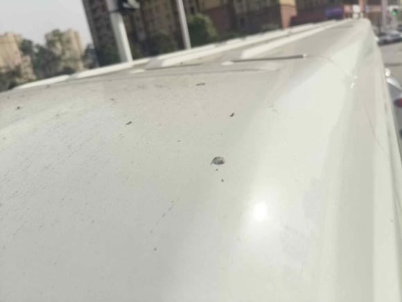 [武汉·鄂A] 二手依维柯依维柯得意2020款 2.5T A40客车双胎中顶5-9座国VI