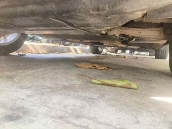 [深圳·粤B] 二手奥迪奥迪Q52017款 Plus 40 TFSI 舒适型