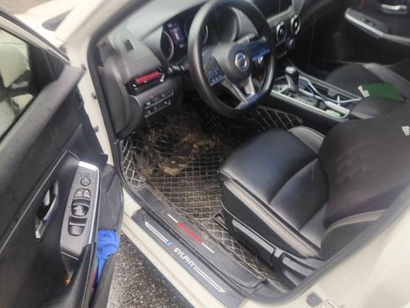 [嘉兴·浙F] 二手日产轩逸2021款 1.6L XL CVT悦享版