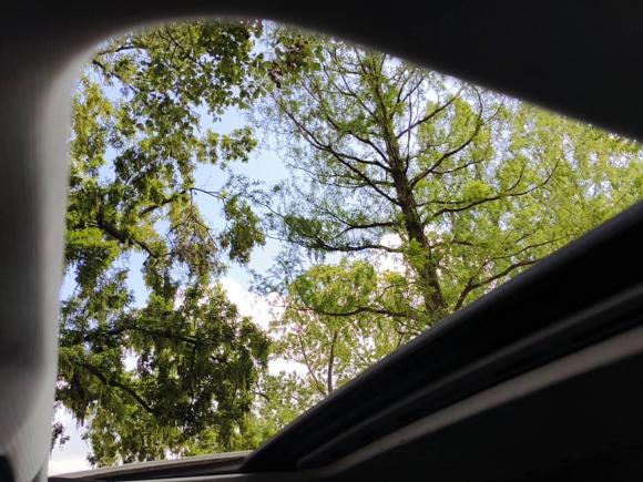 [上海·沪E] 二手奥迪奥迪A4L2013款 35 TFSI 自动标准型