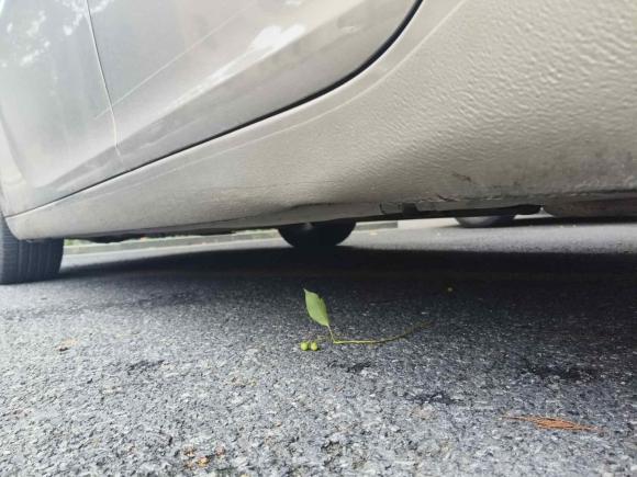 [上海·沪A] 二手别克君威2015款 2.0L 精英时尚型