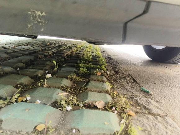 [上海·苏U] 二手别克威朗2016款 两厢GS 20T 双离合豪情运动型