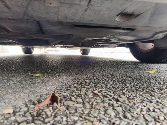 [深圳·粤B] 二手福特蒙迪欧2013款 2.0L GTDi200时尚型