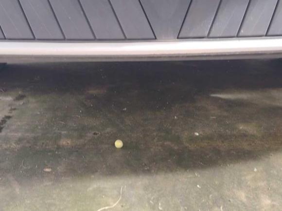 [成都·川A] 二手启辰启辰VX62023款 520 Pro