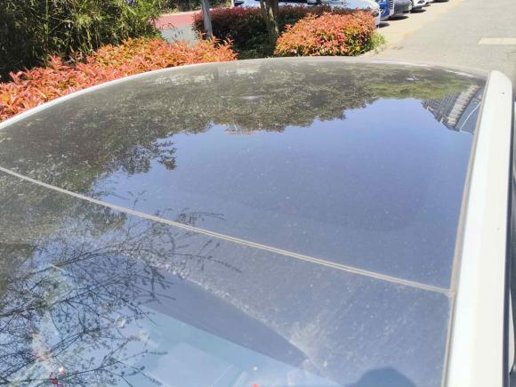 [无锡·苏B] 二手特斯拉Model Y2024款 后轮驱动版