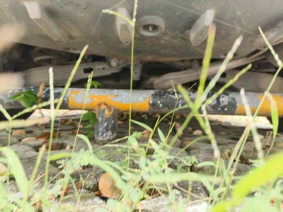 [嘉兴·浙F] 二手丰田卡罗拉2019款 1.2T S-CVT GL-i精英版