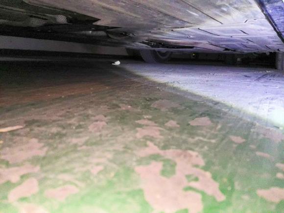 [合肥·皖A] 二手宝马宝马3系2019款 320Li M运动曜夜版