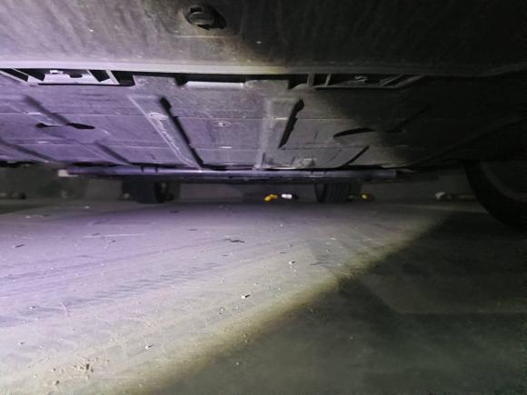 [上海·沪A] 二手欧拉欧拉好猫2023款 401km标准续航 豪华型 磷酸铁锂