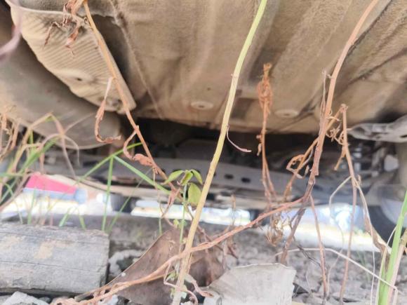 [宁波·浙D] 二手大众朗逸2019款 1.5L 手动舒适版 国VI