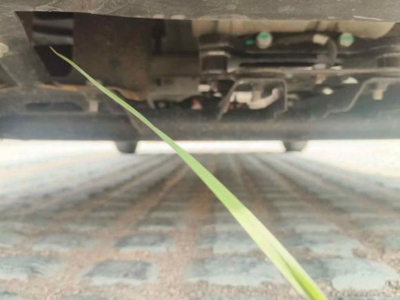 [青岛·鲁B] 二手五菱汽车宏光MINIEV2022款 自在款 磷酸铁锂