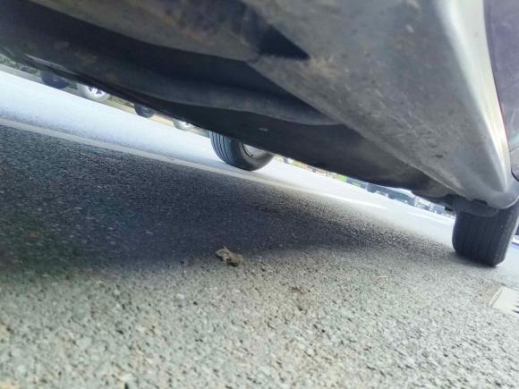 [杭州·浙A] 二手本田缤智2015款 1.5L CVT两驱舒适型