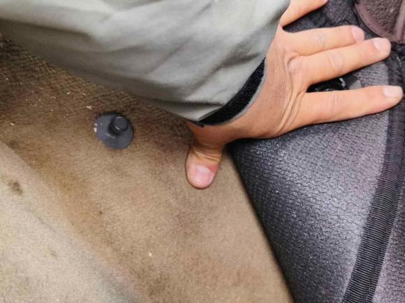 [无锡·苏B] 二手沃尔沃沃尔沃S80L2011款 3.0T AWD 智雅版