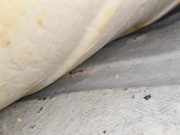 [武汉·鄂B] 二手福特全顺2023款 2.0T柴油自动多功能商用车短轴低顶5/6座