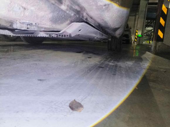 [苏州·苏E] 二手斯柯达明锐2018款 TSI280 DSG旗舰版