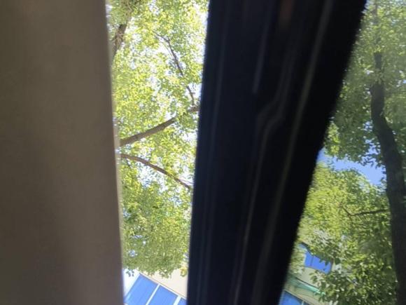 [金华·浙G] 二手福特福睿斯2015款 1.5L 自动时尚型