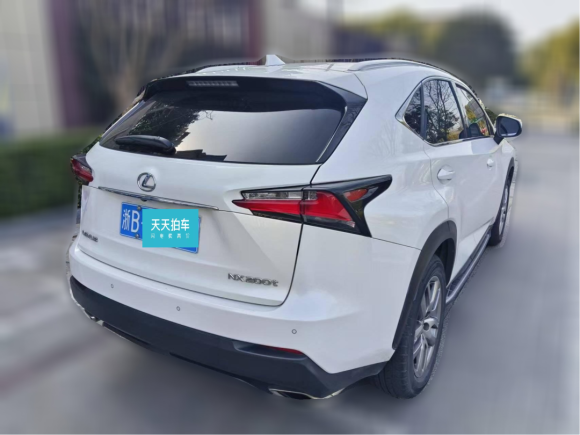 [宁波·浙B] 二手雷克萨斯雷克萨斯NX2015款 200t 全驱 锋尚版