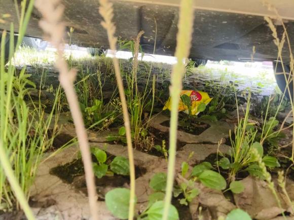 [义乌·浙G] 二手鸿蒙智行问界M52022款 纯电后驱标准版