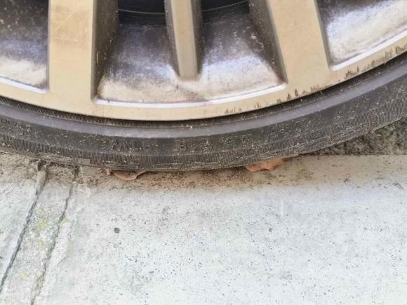 [上海·沪F] 二手宝马宝马3系2019款 320Li 时尚型