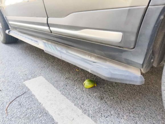 [上海·豫S] 二手吉利汽车博越2020款 1.8TD DCT智尊PRO