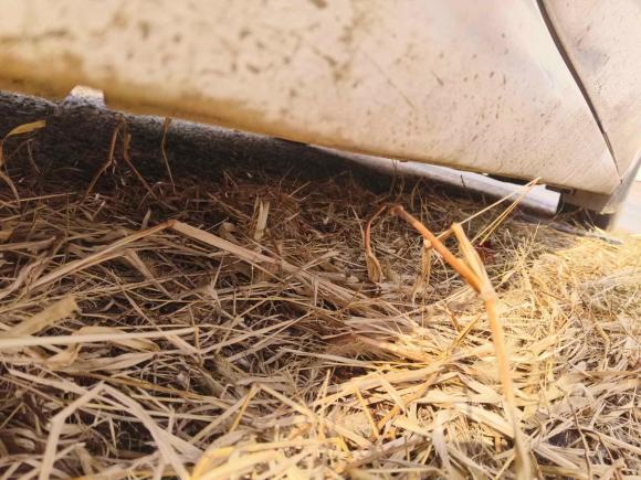 [嘉兴·浙F] 二手雪佛兰科沃兹2018款 320 自动欣悦版