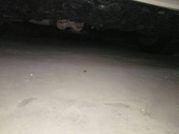 [温州·浙C] 二手日产天籁2011款 2.5L XL荣耀版