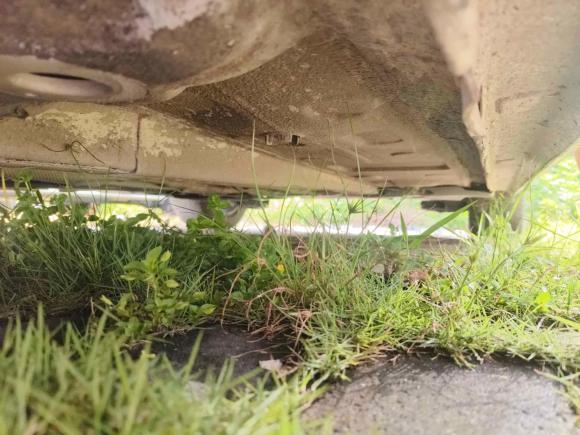 [佛山·粤Y] 二手标致标致3082016款 1.6L 自动豪华版