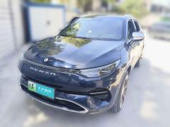 [绍兴·浙A] 腾势腾势X2020款 PHEV旗舰版