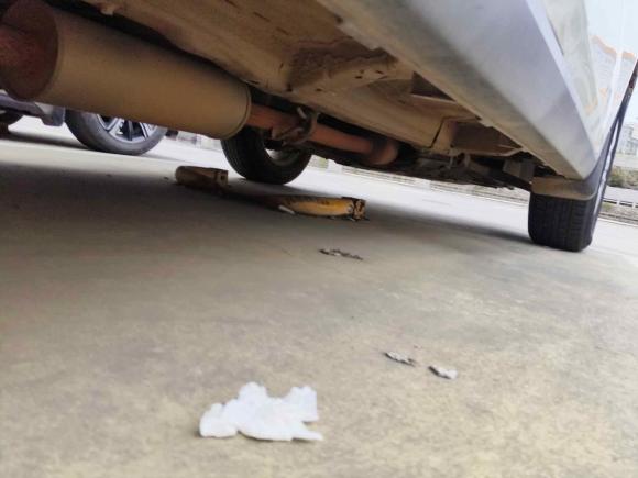 [温州·贵E] 二手哈弗哈弗M62019款 1.5T DCT两驱超值版 国VI