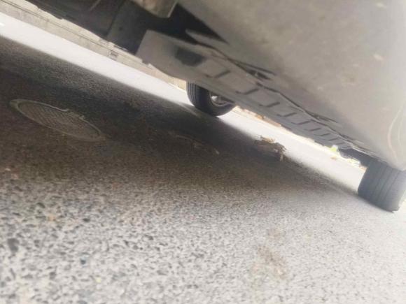 [上海·苏E] 二手威马汽车威马EX52020款 EX5 400 即客行版