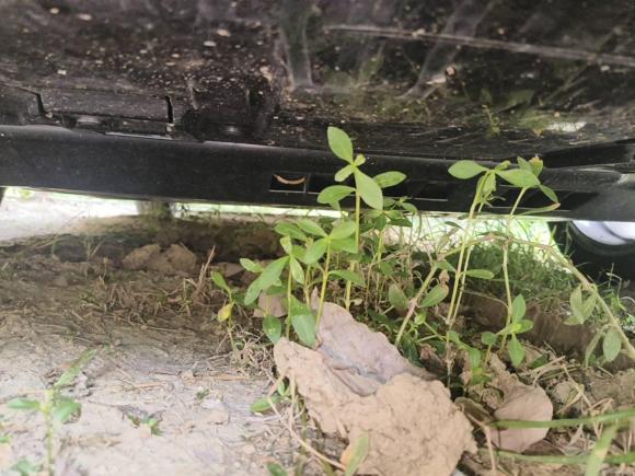 [武汉·鄂W] 二手本田英仕派2023款 260TURBO 精悦版