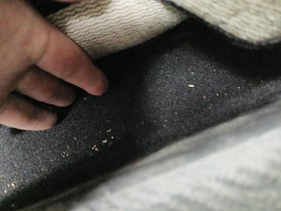 [合肥·皖A] 二手哈弗哈弗大狗2022款 1.5T DCT两驱马犬版