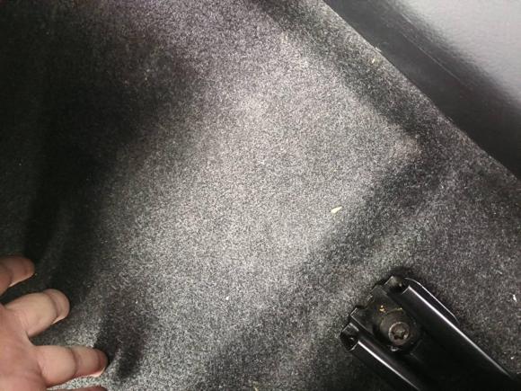 [温州·浙C] 二手日产蓝鸟2018款 1.6L 手动炫酷潮音版