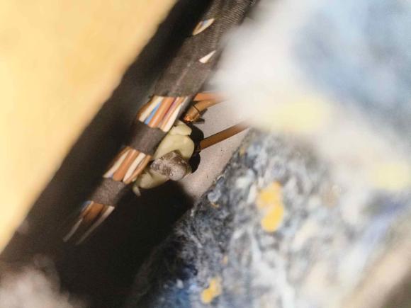 [成都·川A] 二手大众途安2013款 1.4T 手动舒适版5座