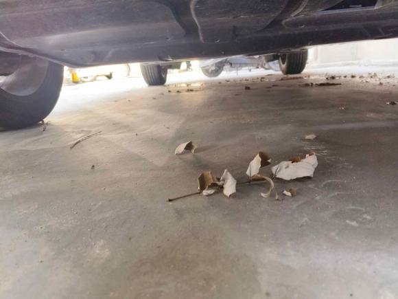 [济南·鲁A] 二手斯柯达柯米克2021款 1.5L 手动舒适版