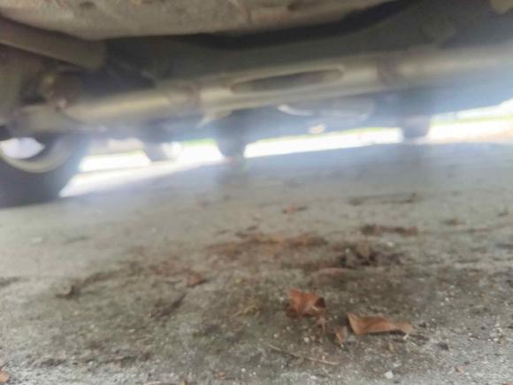 [深圳·粤S] 二手本田思域2019款 220TURBO CVT劲动版 国VI