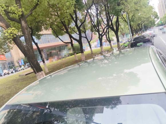 [苏州·苏E] 二手比亚迪元PLUS2022款 510KM 尊荣型