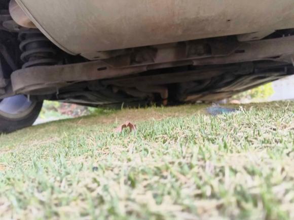 [宁波·浙B] 二手沃尔沃沃尔沃S602015款 S60L T5 智驭版