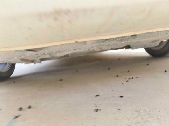 [宁波·浙B] 二手广汽传祺传祺GA62016款 235T DCT精英版