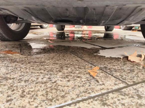 [上海·沪F] 二手起亚智跑2018款 2.0L 自动智享豪华版 国V