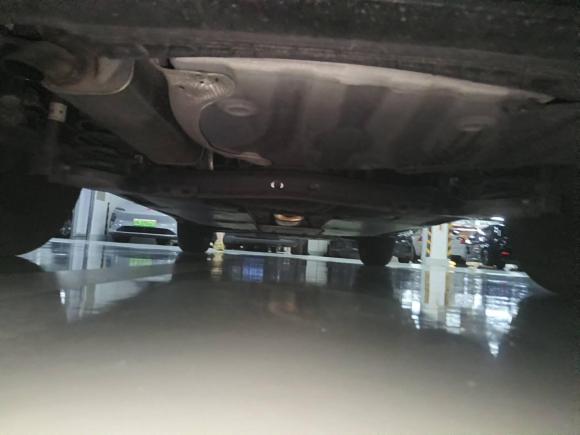 [上海·沪F] 二手大众探影2021款 1.5L 自动 30周年纪念版