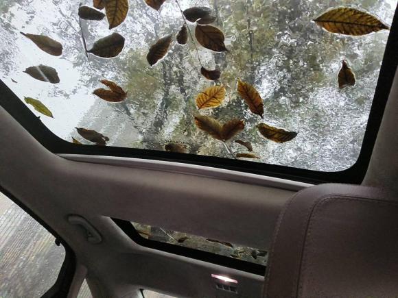 [西安·陕U] 二手捷豹捷豹XFL2018款 XFL 2.0T 250PS 尊享版