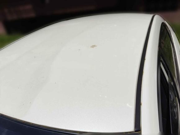 [无锡·苏B] 二手启辰启辰D60EV2020款 标准续航T3