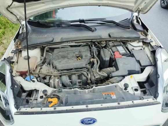 [合肥·皖A] 二手福特福睿斯2019款 1.5L 自动悦享型