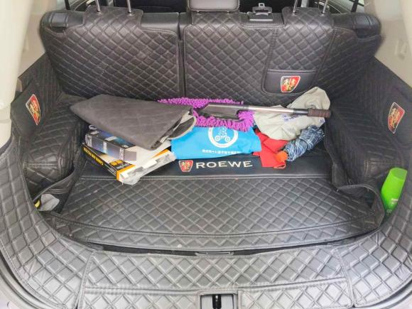 [上海·浙C] 二手荣威荣威RX52020款 PLUS 300TGI 自动Ali国潮豪华版