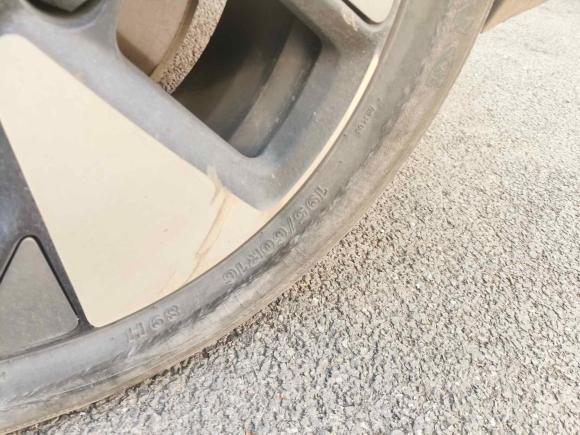 [上海·沪A] 二手比亚迪海豚2023款 420km 自由版