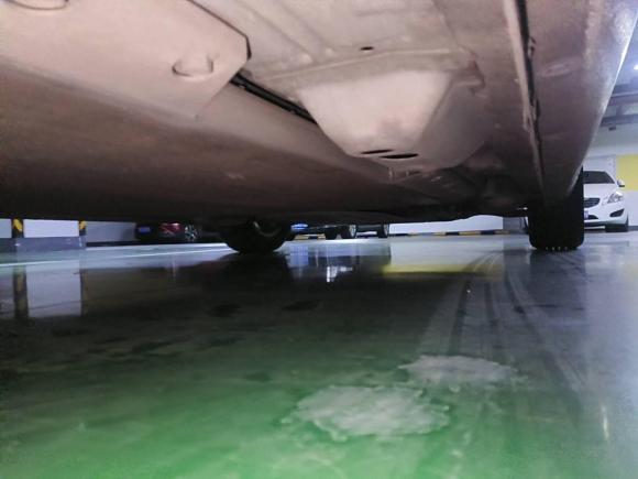 [杭州·浙A] 二手欧拉欧拉黑猫2019款 351km 灵趣版