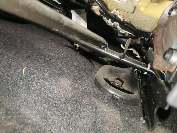 [嘉兴·浙F] 二手福特福睿斯2019款 改款 1.5L 自动质享型 国VI