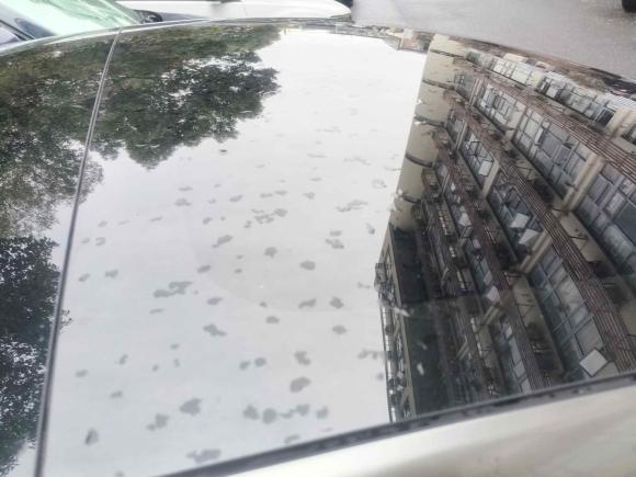 [上海·沪A] 二手特斯拉Model 32021款 标准续航后驱升级版