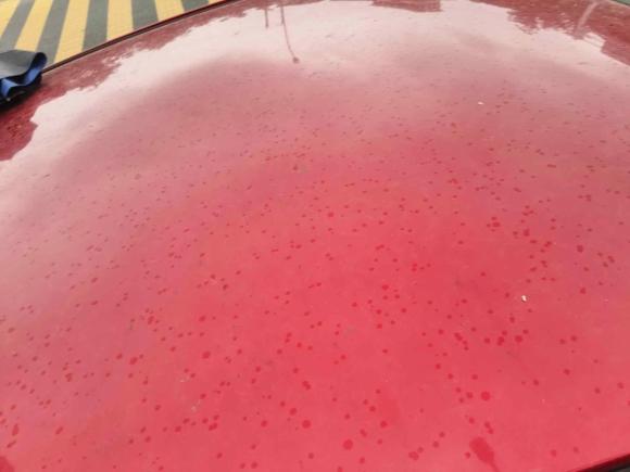 [南昌·赣E] 二手马自达马自达3 昂克赛拉2016款 三厢 1.5L 自动舒适型